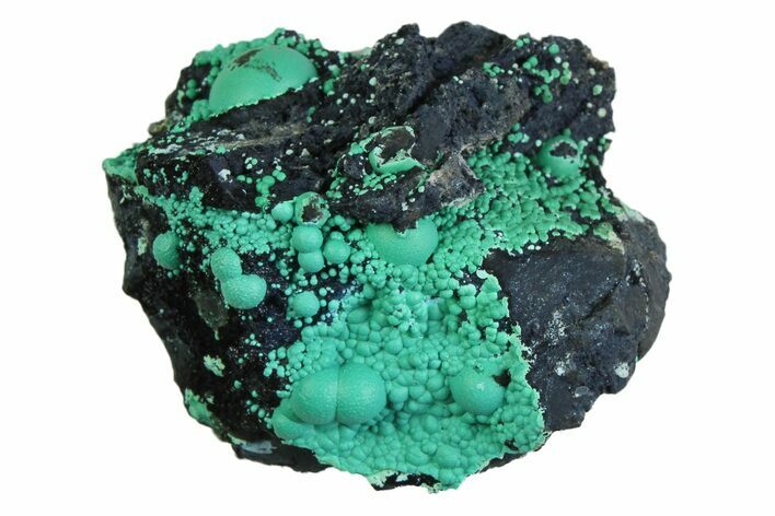 Blue-Green Botryoidal Chrysocolla - Planet Mine, Arizona #358223